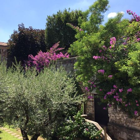Le Finestre Sugli Ulivi Lejlighed Desenzano del Garda Eksteriør billede